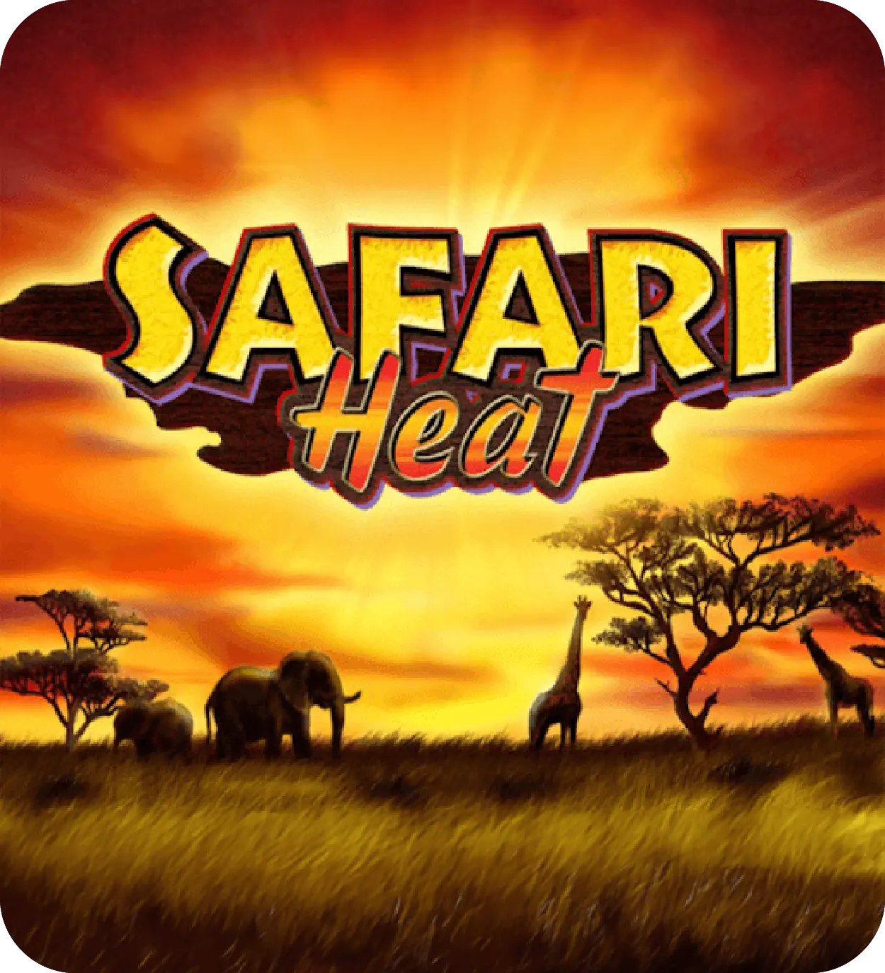 Safari Heat