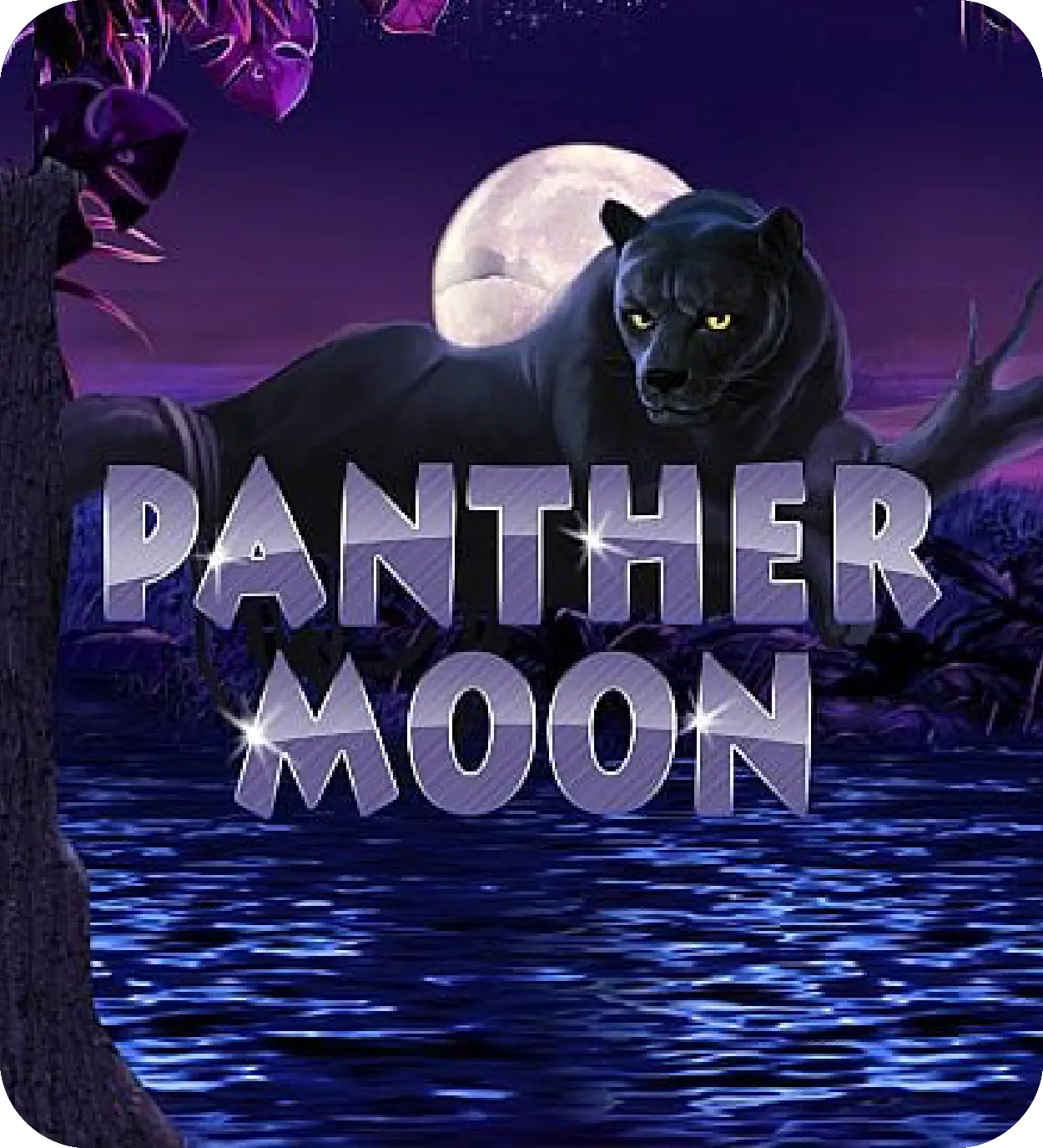 Panther Moon