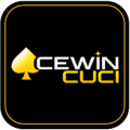 AceWinCuci