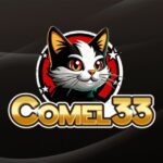 COMEL33 Logo