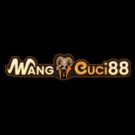 WangCuci88